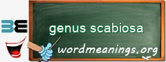 WordMeaning blackboard for genus scabiosa